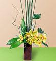 The FTD� Touch of Tropics� Arrangement