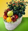 The FTD� Fruits & Flowers