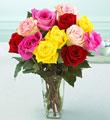 1 Dozen Medium Stem Mixed Colored Roses - with Vase
