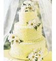 The FTD� Daisy Delight� Cake Decoration